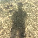 もりふぉるにあ